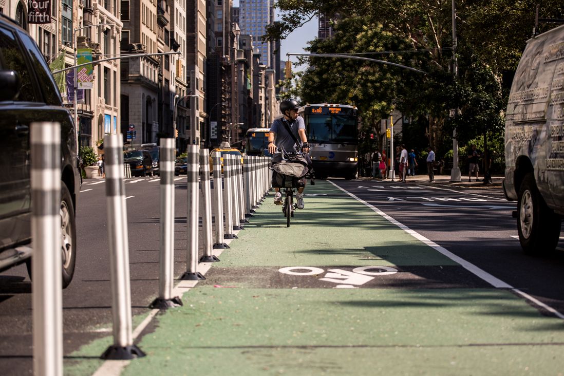 A man bikes down a newly-installed protected bike lane on 5th Avenue between West 25th and 24th Streets in Flatiron, Manhattan. The lane was given additional protection as part of the DOT's new Shared Streets redesign.</br>